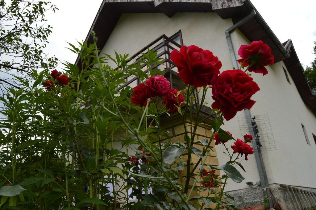 Apartment Sijakovic Mokra Gora Esterno foto